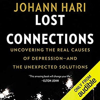 Lost Connections audiobook cover.